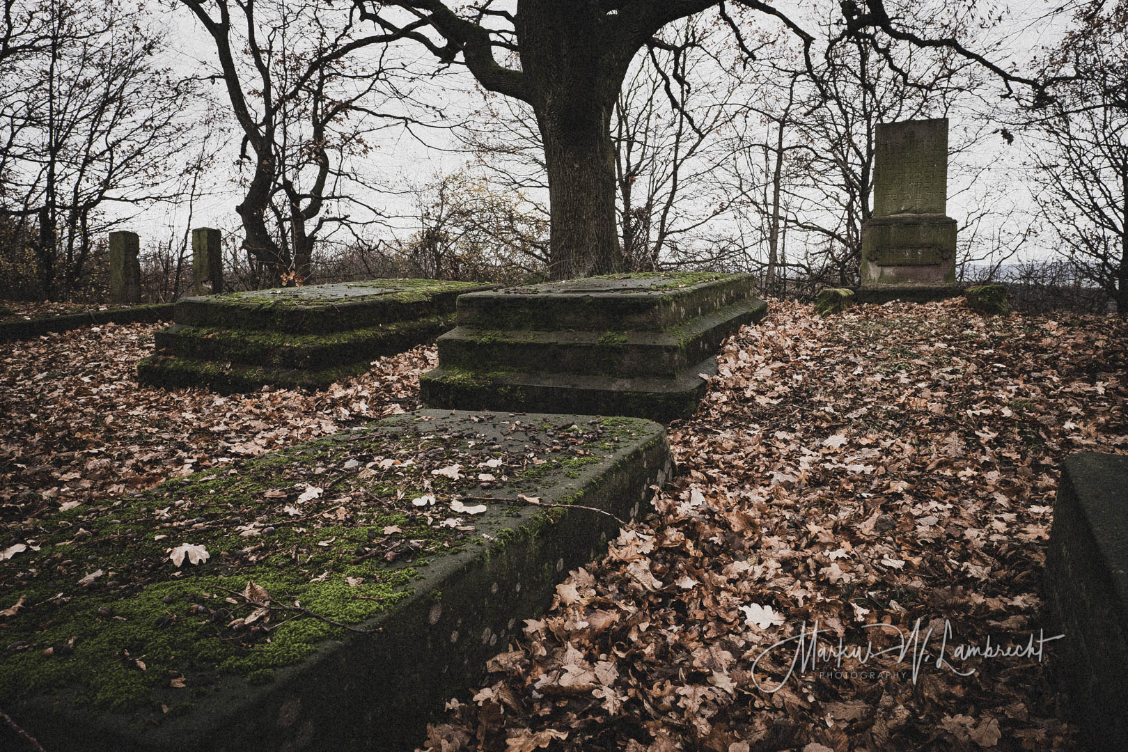 Bovenden, Jüdischer Friedhof